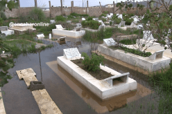 شركة إسبانية تمنع مواطنين من زيارة قبور موتاهم بعزابة في سكيكدة