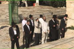 قطعان من المستوطنين تقتحم الأقصى