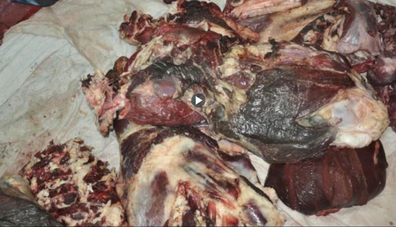وزارة الفلاحة.. الحفظ السيئ وراء فساد اللحوم