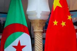 الصين تعلن عن تقديمها كمية من اللقاحات كهبة للجزائر