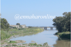 مســؤول بمشـــروع تهيئــــة واد الحــــراش يتــــورط فــي تبييـــض وتهريـــــب 5 ملاييـــــر إلــــى الإمـــــارات