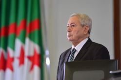 سأشكل هيئة مستقلة لتنظيم انتخابات نزيهة.. هذا وعدي