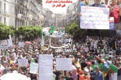 «الحـراك مايعيـــاش والعصابة في الحـــراش»