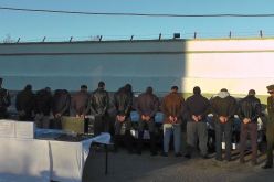 حجز 5 سيارات مهربة بوثائق مزوّرة في مستغانم 