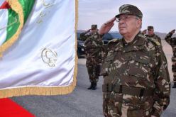  حملة تشويه ضد الجيش الجزائري.. بأقلام مأجورة!