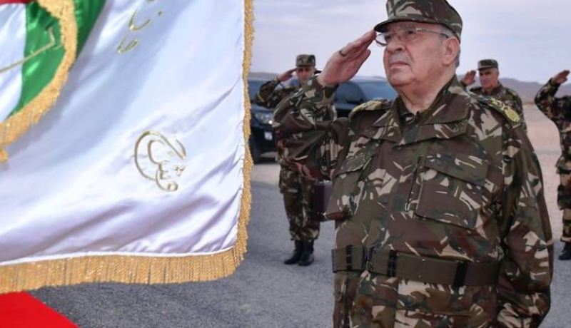  حملة تشويه ضد الجيش الجزائري.. بأقلام مأجورة!