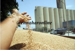 فضيحة.. 9 مخازن للحبوب و2200 مليار في «مهبّ الريح»