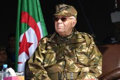 « فتح ملفات سوناطراك الخليفة والبوشي..ومتابعة العصابة»