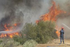 الطارف: اندلاع الحرائق بعدة غابات