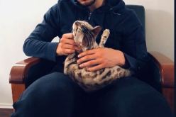 بالصور.. قديورة يتناسى إبعاده من الخضر مع “قطه”