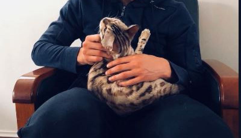 بالصور.. قديورة يتناسى إبعاده من الخضر مع “قطه”