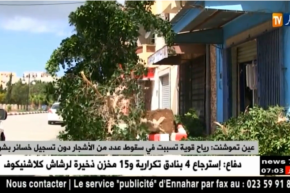 عين تموشنت: رياح قوية تسبب في سقوط عدد من الأشجار دون تسجيل خسائر بشرية