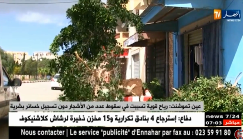 عين تموشنت: رياح قوية تسبب في سقوط عدد من الأشجار دون تسجيل خسائر بشرية
