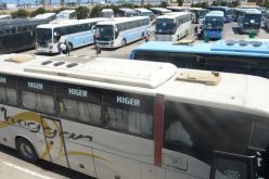 وزارة التجارة تدرس مقترحا لاستيراد 10 آلاف حافلة وشاحنة خلال 3 سنوات