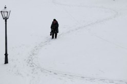 بالفيديو..عاصفة ثلجية قوية تضرب ألمانيا