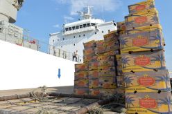 580 مليار لاستيراد الموز و”البراك” في 3 أشهر