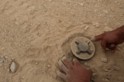  العثور على لغم يعود للحقبة الإستعمارية بباتنة