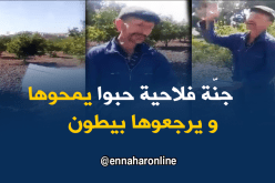 سكيكدة..مزارع ينتفض على تحويل أرضه الزراعية إلى سكنات