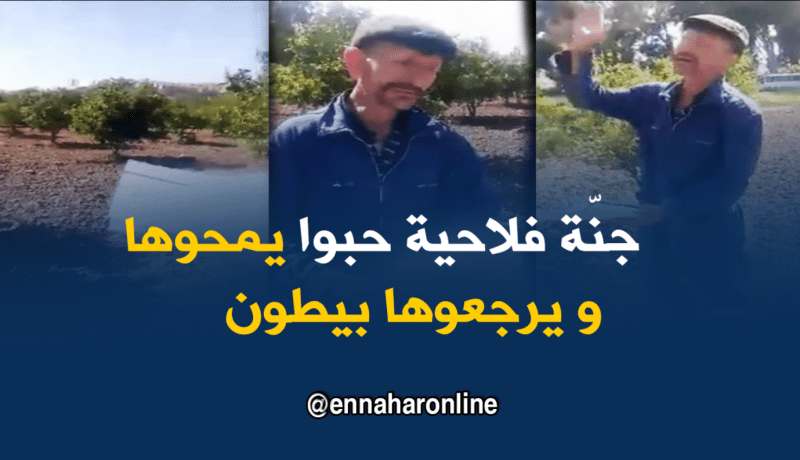 سكيكدة..مزارع ينتفض على تحويل أرضه الزراعية إلى سكنات
