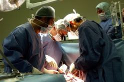 «الأولويـة للأطفـال الخاضعيــن لغســل الكلــى للاستفـــادة مـــن أعضـــاء المـــوتــــى»
