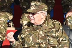 ڤايد صالح يقصف «دوائر خفيّة» تحضّر لـ «التّخلاط»