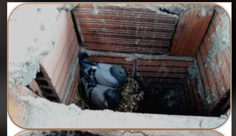 سطيف: وفاة خمسيني اختناقا بالغاز والسبب عش طائر الحمام