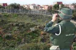 حمير مدربة و”الحظاي”.. تفاصيل صادمة حول تهريب المخدرات من المغرب إلى الجزائر