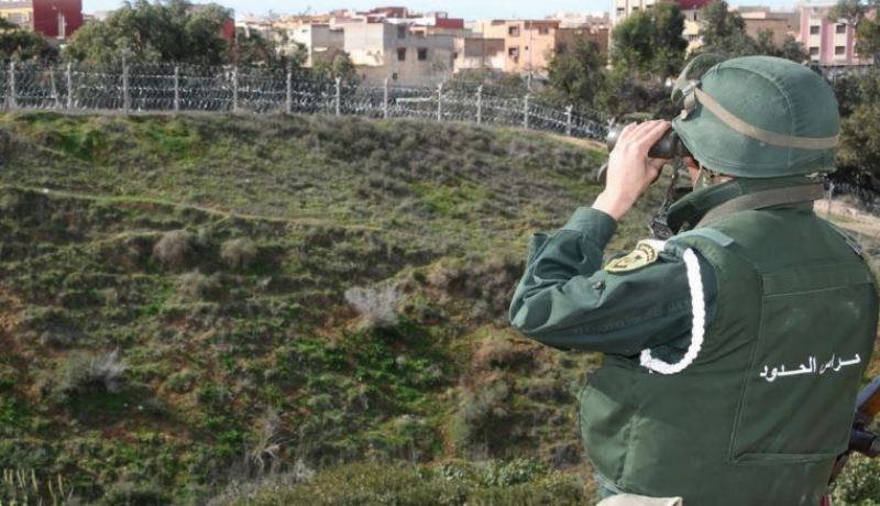 حمير مدربة و”الحظاي”.. تفاصيل صادمة حول تهريب المخدرات من المغرب إلى الجزائر
