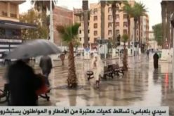 سيدي بلعباس: تساقط كميات معتبرة من الأمطار و المواطنون يستبشرون خيرا