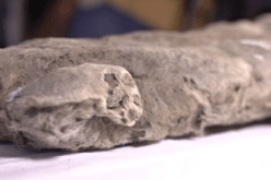 بالفيديو.. العثور على جثة أسد الكهف