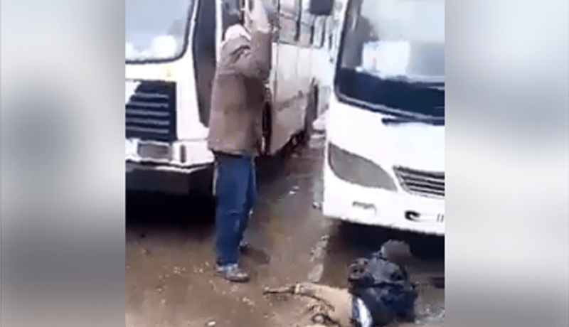 6 أشهر حبسا نافذا لـ«روسوفور» صفع لاجئا إفريقيا بمحطة حافلات في عنابة