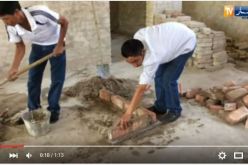 فيديو عمال فيتناميين يتقاضون حوالي 1000 دولار أمريكي في الجزائر