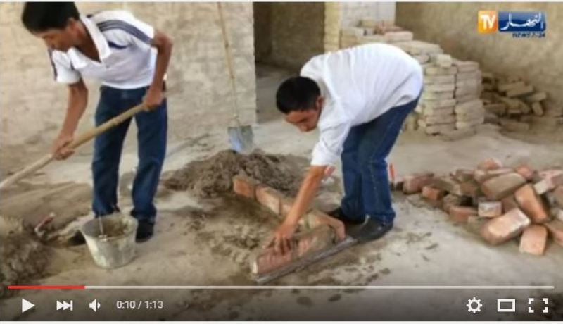 فيديو عمال فيتناميين يتقاضون حوالي 1000 دولار أمريكي في الجزائر