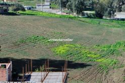 «سيناتور» يحتال على ورثة و«يبتلع» 42 مليارا في صفقة بيع 5 هكتارات بتيزي وزو !