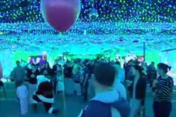 نصف مليون مصباح على شجرة كريسماس