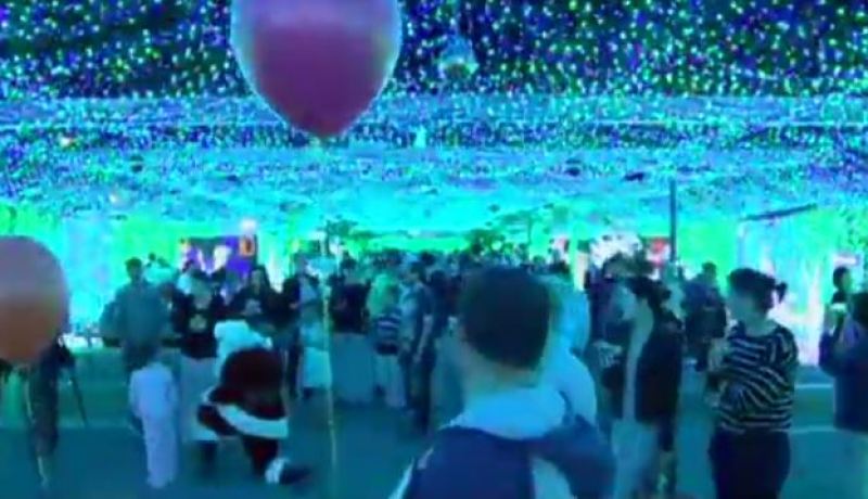 نصف مليون مصباح على شجرة كريسماس