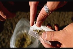 الجزائر.. علاج 5 آلاف مدمن مخدرات هذا العام
