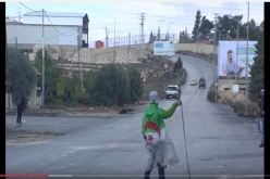 بالفيديو العلم الجزائري في مواجهات مباشرة ضد الإحتلال الإسرائيلي في فلسطين