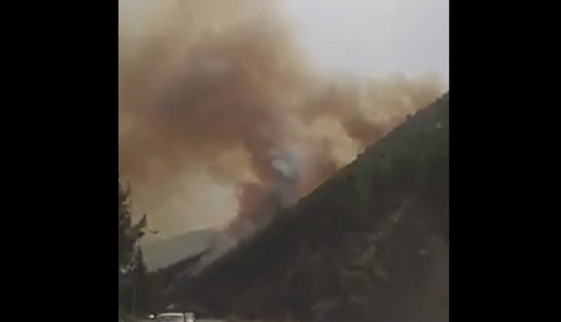 بالفيديو نشوب حريق مهول في غابة الحمدانية بالمدية