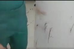 بالفيديو مسلّحون بالسيوف يقتحمون مصحة طبية ببومرداس ويقتلون شابا