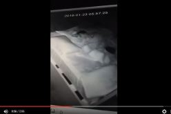 بالفيديو.. كاميرا المراقبة تفضح خادمة عذبت طفلا نائما بقسوة