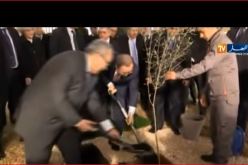 بان كي مون يغرس شجرة السلام بمقر وزارة الخارجية رفقة لعمامرة