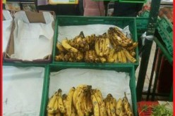 بعد ارتفاع أسعار الموز..الجزائريون بصوت واحد اتركه يتعفن