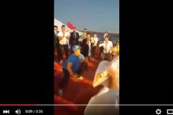 بالفيديو محمد السادس  يستنجد بمارادونا في العيون المحتلة