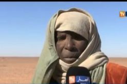 نساء يجمعن الحصى ويبعنه بأزهد الأثمان في أدرار