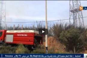 نشوب حريق بحديقة الحيوانات والتسلية ببن عكنون