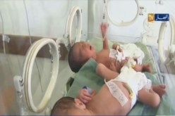 بالفيديو.. سيدة تضع 5 مواليد جدد بالجزائر العاصمة