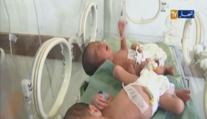 بالفيديو.. سيدة تضع 5 مواليد جدد بالجزائر العاصمة
