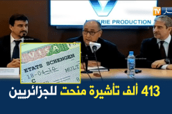 بالفيديو.. منحنا 413 ألف تأشيرة ونسعى لتحسين الخدمات أكثر بنظام جديد