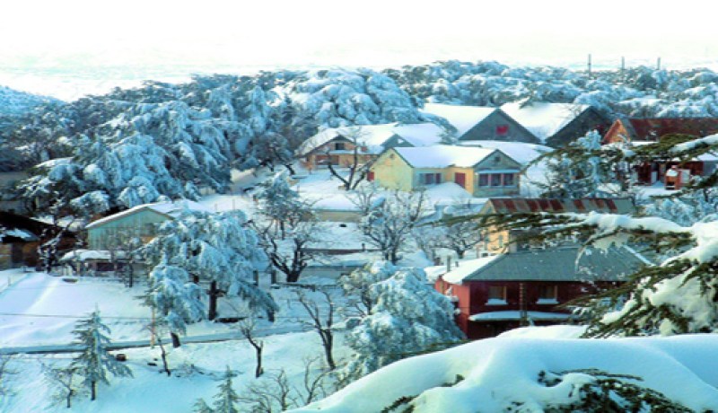 ''شاليهات'' الشريعة محل أطماع ''البزناسية''..
